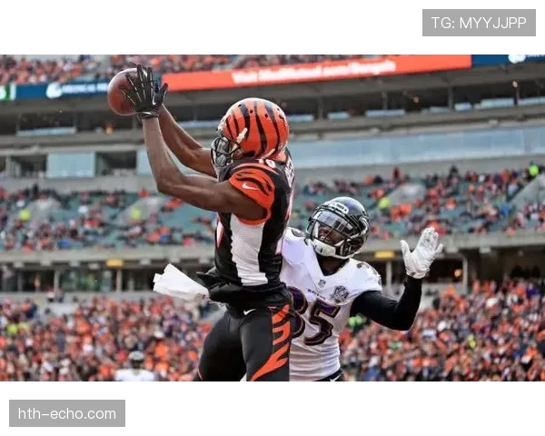 埃斯帕尼奥尔主场强势复苏，延续不败纪录状态火热