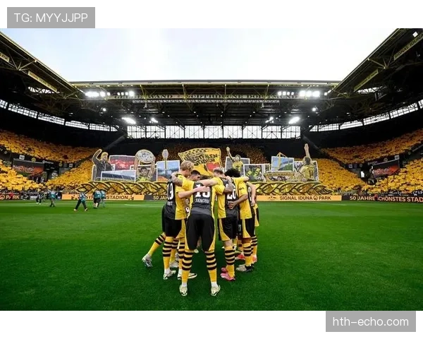 多特蒙德主场信号公园球场承办欧洲杯赛事